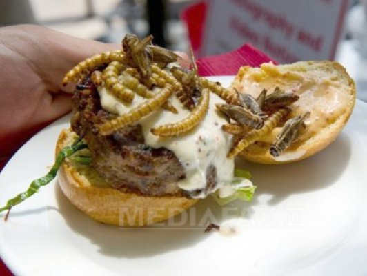 Hamburgeri cu lăcuste şi acadele cu scorpioni, servite pentru o cauză umanitară